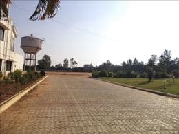 Plot / Site photo 2