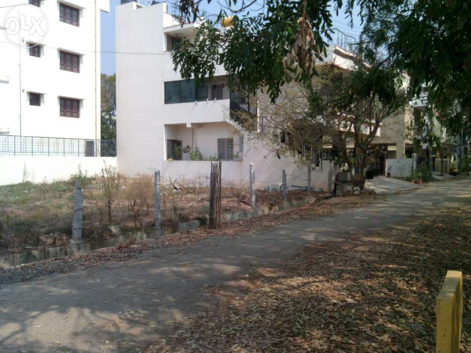 Plot / Site photo 2