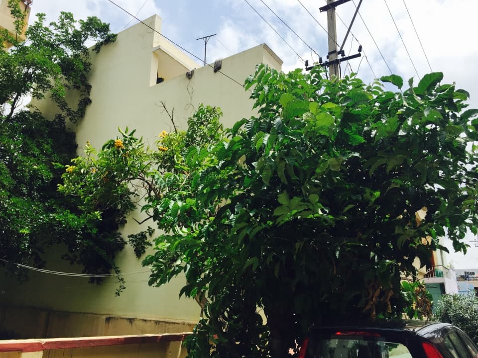 Noth facing site of 40/60 for sale.