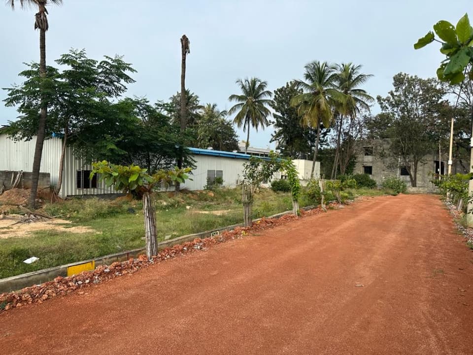 Plot / Site photo 3